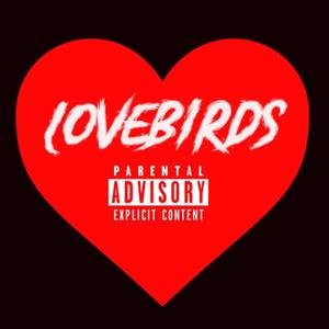 LOVEBIRDS