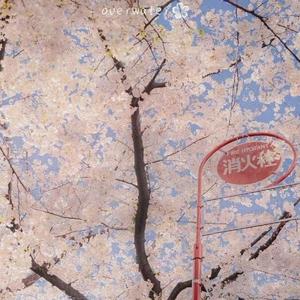 高子童-走着走着（演唱）（高子童 remix）