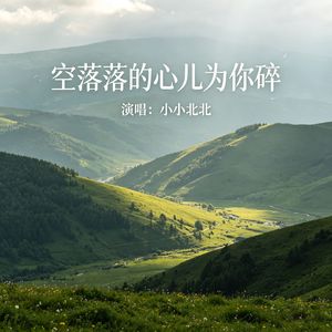 空落落的心儿为你碎
