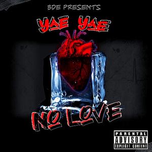NO LOVE