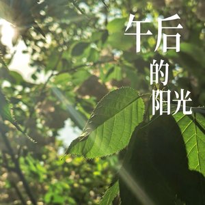 午后的阳光