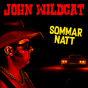 Sommarnatt (2026 remake)