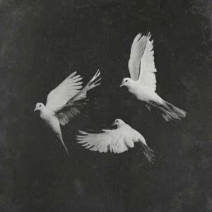 冷街freestyle（prod.Waynom）