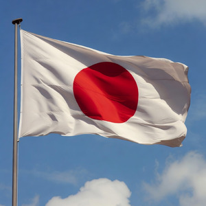 光れ日本