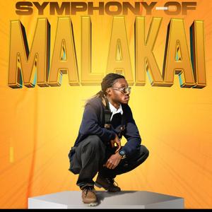 Yaro (feat. Stamina)