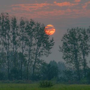 记忆越来越模糊了 自己变的也模糊了
