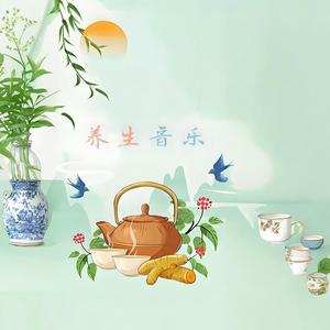 十二经络养生音乐 太阴脾经