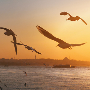 德尔塔脑波哄睡宝宝的自然白噪音舒缓钢琴曲