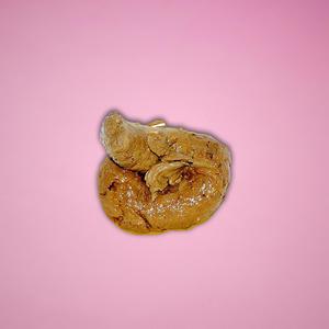 konversationen om en kaka (bajs på turkiska)