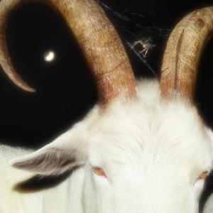 How Much My Outfit Cost