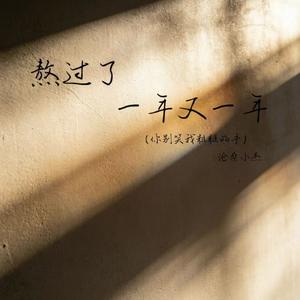 熬过了一年又一年(你别笑我粗糙的手)
