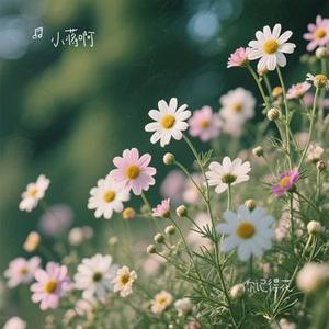 你记得花(Cover 傅梦彤)