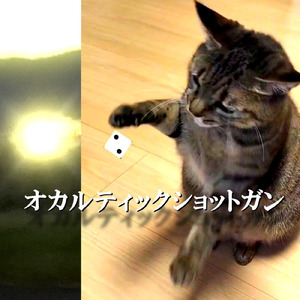 オカルティックショットガン