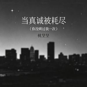 当真诚被耗尽(你没哄过我一次)