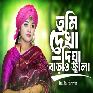 তুমি দেখা দিয়া বাড়াও জ্বালা