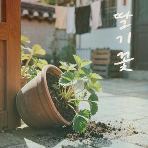 딸기꽃(Strawberry Blossom)