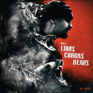 Lions Cobras Bears
