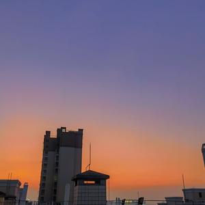 难以启齿的柔弱 (DJ原版)