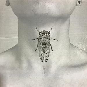 世界还给你的美好