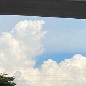 十年之梦