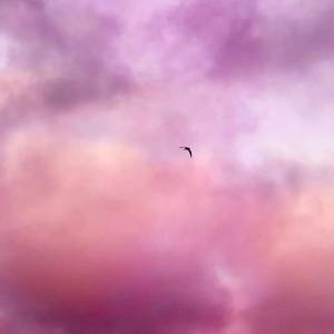 前男友-爱如潮水remix（AKA-董宝明 remix）