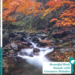 Glorious Sound of the Waves by the Ocean Shore