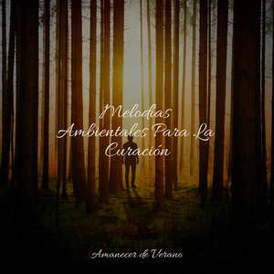 Pétalos susurrantes bajo la luz del sol