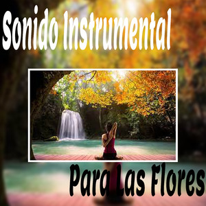 Música de Relajación Profunda