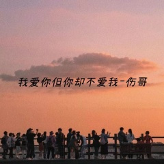 我爱你但你不爱我