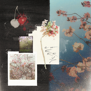 Cherry