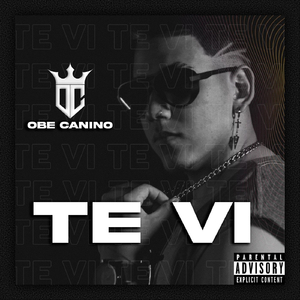 Te Vi