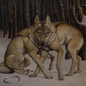 Spider Tit (feat. Tsoko)