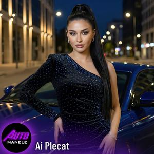 Ai Plecat