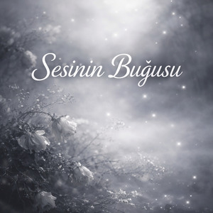 Sesinin Buğusu