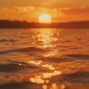 谢谢你曾来过我的世界