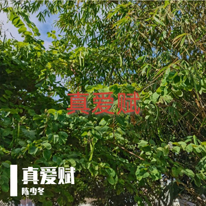 真爱赋