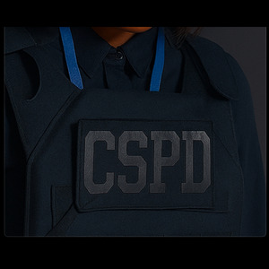 CSPD VI