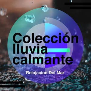 Small Stream, Big Bird Population