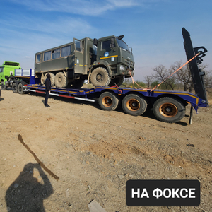 На фоксе