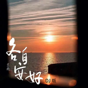各自安好（DJ版）
