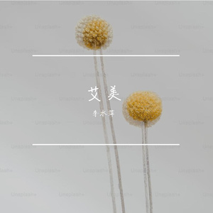 宝贝(Live)_艾美 [高质量]