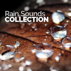 Shelter from the Downpour