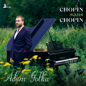 Fantasie in B Minor, Op. 28