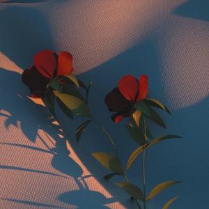 我不是你的宋冬野（翻自 林启得）