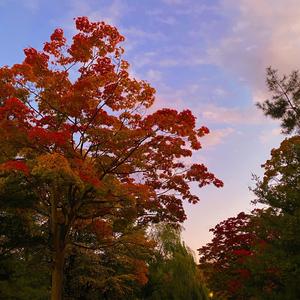 昨日のことも明日のことも忘れていい