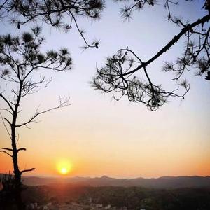 你假装不懂我故作轻松