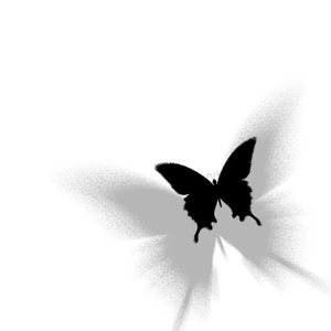 身骑白马（阿C reimx）