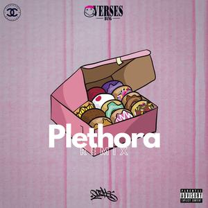 Plethora (Remix)