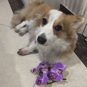 雨天宅家小确幸