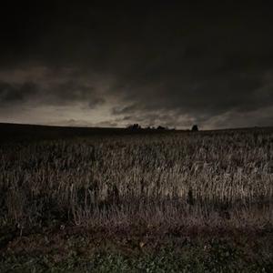 Muck (Single Version)